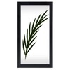 NAOKBOEE 4x9 Picture Frame in Black, Photo Frames with Plexiglass,