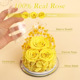 Preserved Flower Rose Gifts for Women, Forever Eternal Fresh Flowers in Glass Angel Figurines Flowers for Delivery Prime for Grandma Mom Sister Her Wife on Mothers Day Birthday Christmas