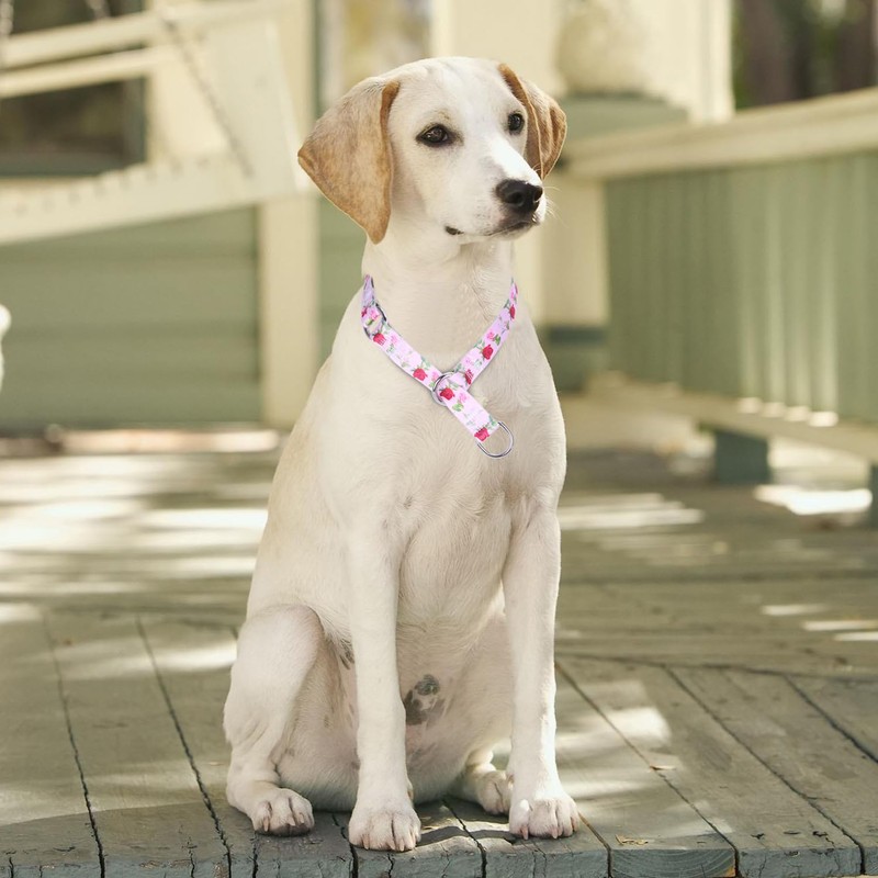 haoyueer Training Collar, No Pull Martingale Collar, Slip On Collar
