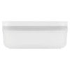 ZWILLING 36804-100 Fresh & Save Vacuum Plastic Container, Small Size,