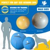 Herding Ball for Dogs - 18” Cover for Corgi, Collie,