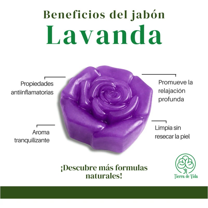 Jabón De Lavanda Relajante Artesanal Tierra De Vida