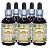 She Chuang Zi (Fructus Cnidii) Tincture, Organic Dried Fruits Liquid