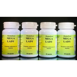 Mega Lady Multi-Vitamins, Women's Health - 240 (4x60) Capsules