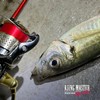 VARIVAS (バリバス) Line Ajing Master Ester Red Eye 0.4