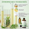 EVOKE OCCU 100% natürliches ätherisches Teebaumöl, 118ml Volumen für Haarpflege,