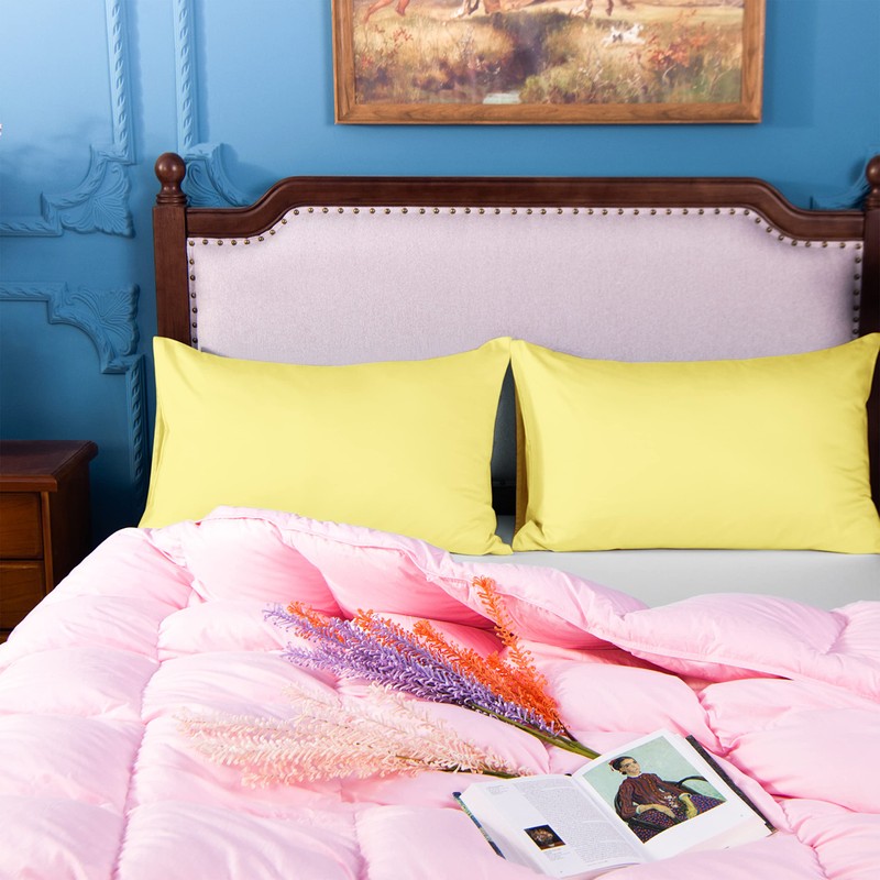 NTBAY 2 Pack 500 Thread Count 100% Egyptian Cotton Pillowcases,