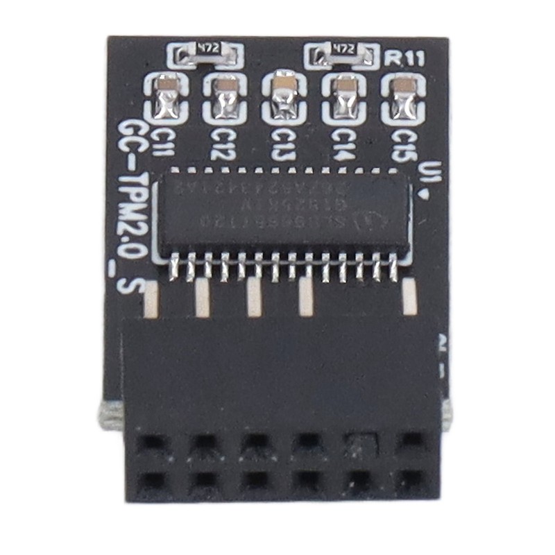 TPM 2.0 Module LPC SPI 12Pin Remote Card Encryption Security