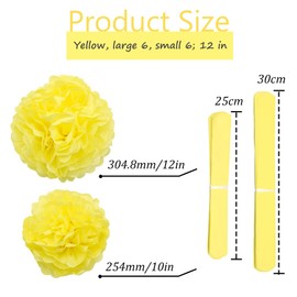 Ruidee Pack of 12 Tissue Paper Pompoms 10 in and 12 in Paper Flower Ball Decorative Paper Kit Paper Flowers Pom Poms for Weddings, Birthdays, Party Decorations (ZH/Yellow)