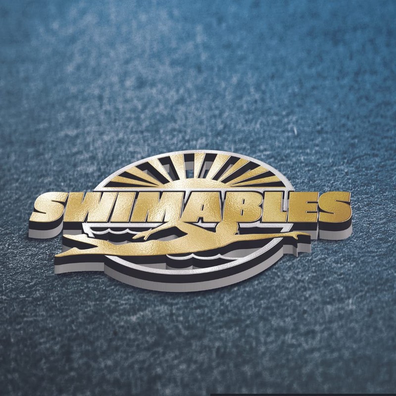 Swimables Igniter with Gasket Kit Compatible with Pentair MasterTemp/Max-E-Therm Pool