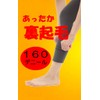 Liapom Women's Leggings, Warm, Fleece Lined, 160 Denier, Spats, Cold
