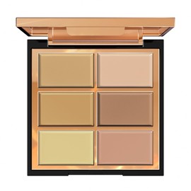 FV 6 Colors Cream Concealer Palette, Full Coverage & Long Lasting Colors Corrector Palette for Dark Circles, Redness, Acne with Natural Finish Cream Foundation Palette, 01 Light Shade
