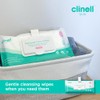 Carell Carell Personal Care Wipes - Pack of 1 -