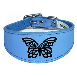 Dog Collar Leather Greyhound Collar Whippet Collar Padded Backing Laser Engraved D14 (14-17 Inch (35cm-43cm), Sky Blue)