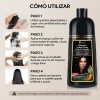 Shampoo Tinte Instantáneo Cubre Canas Natural Jengibre 500ml