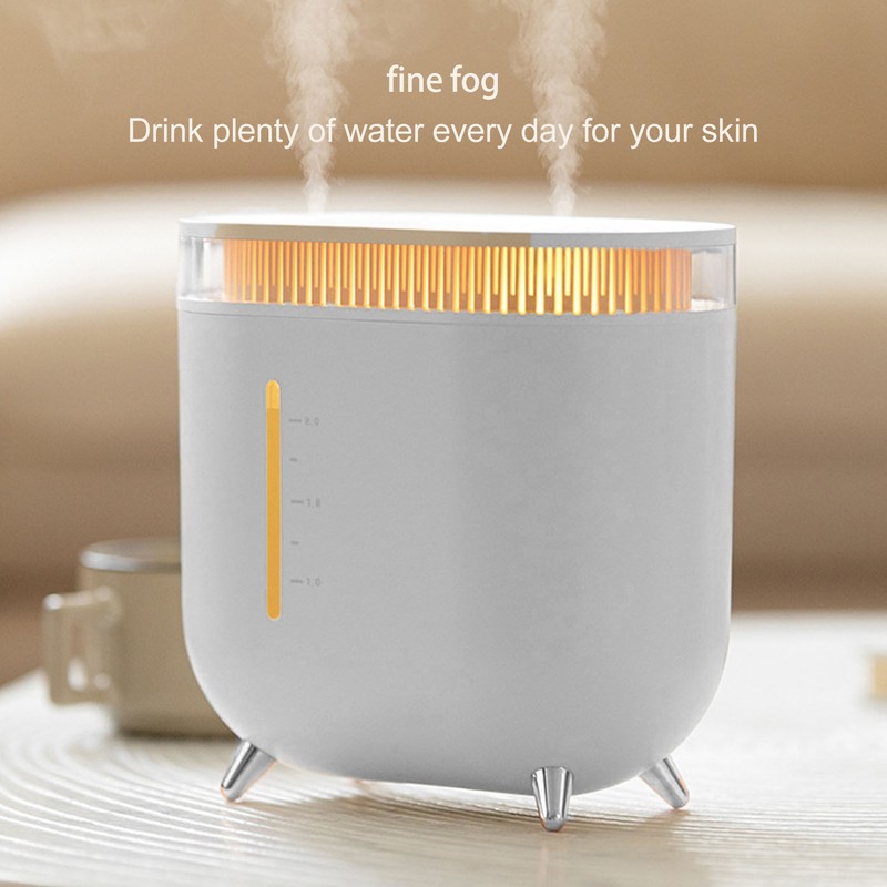 Humidifier 2L Capacity USB Charging Delicate Double Spray Humidifier with