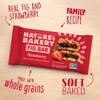 Nature’s Bakery Whole Wheat Fig Bars, Strawberry, Real Fruit, Vegan,