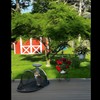 Cat Tent Outdoor, Pet Enclosure Tent Suitable for Cats and