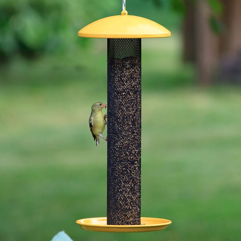 Perky-Pet YSSF00346-2 Straight-Sided Finch Tube Feeder , Yellow