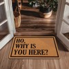 LuckyChu Welcome Door Mat Ho Why is You Here Outdoor