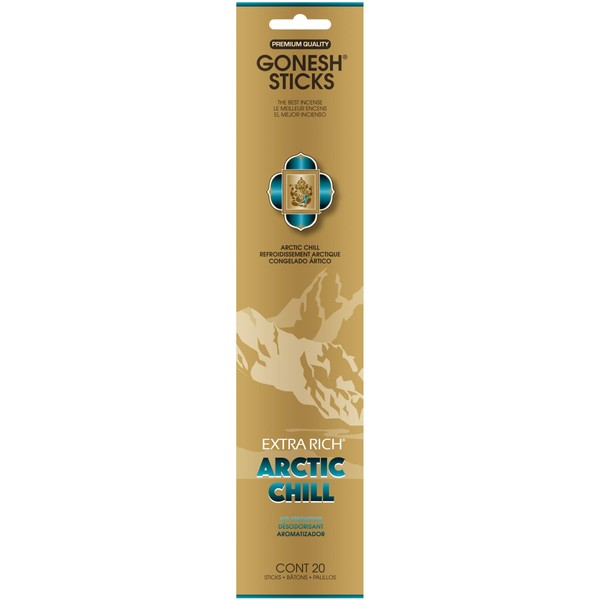 大香 GONESH(ガーネッシュ) お香 インセンス スティック アドベンチャーコレクション アークティックチル(北極をイメージした香り) 20本入 Arctic Chill(ベルガモット・レモン・スパークリングミント・ムスク) 1個 (x 1)
