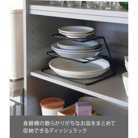 Dish Storage Tower