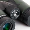 NatureRAY Trailbird 8x42 Binoculars, Lightweight and Waterproof with Premium Optical