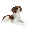 Sandicast Small Size Orange and White Brittany Spaniel Sculpture