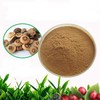 Oriental Raisin Tree Fruit Extract Powder 100g Sample