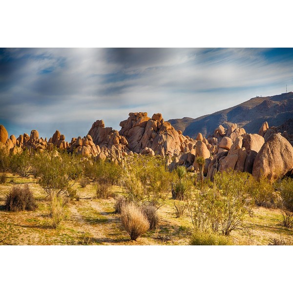 ZatiasMiller Reptile Habitat Background Mountain Stone Nature Landscape Terrarium Backgrounds
