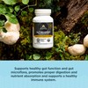 Ancient Nutrition Ancient Nutrition Regenerative Organic Certified Probiotics for Gut