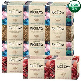 Rice Day 라이스데이 세안 비누 1입 x 14개 [5.라이스데이 비누 유x7개+청x7개] Rice Day Facial Soap 1 Piece x 14 [5. Rice Day Soap No. x 7 + Clear x 7]