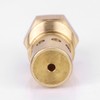 CAC-437-2 Air Compressor Check Valve, Premium Brass 1/2 NPT &