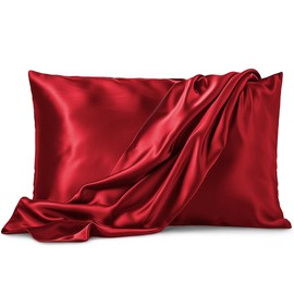 Satin Pillowcase 2 Pack - Queen Size (20"x30", Burgundy) - Silky Pillow Cases for Hair and Skin - Satin Pillow Covers with Envelope Closure - Extra Soft Premium Microfiber