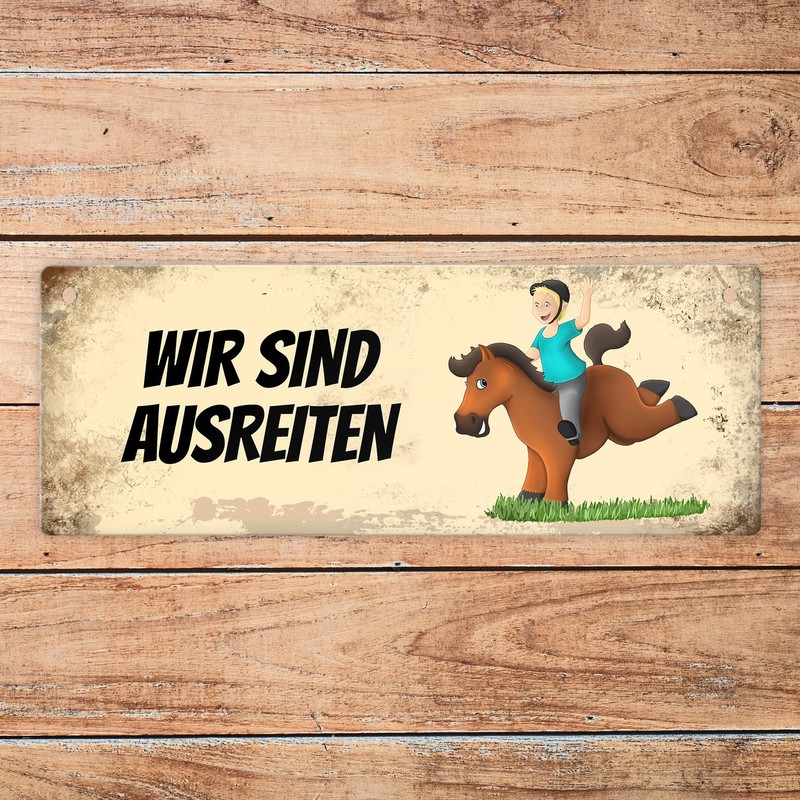trendaffe - Brown horse is riding or on the paddock