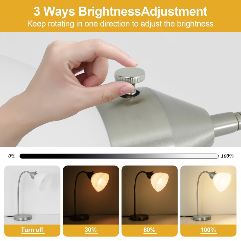 RISLG LED Desk Lamp for Home Office, 3 Levels Dimmable