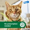 Advantage XD Large Cat Flea Prevention & Treatment For Cats