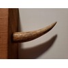 Real Antler Tip Wall Hooks Screw into Wood or Drywall