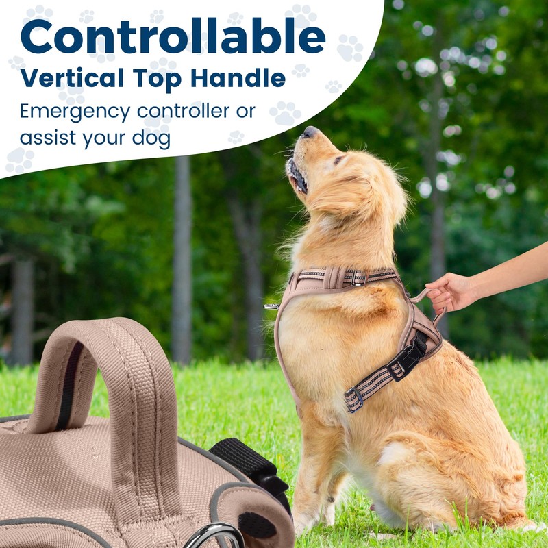 Funfox Dog Harness Medium No Pull, Adjustable 2 Clips Anti-Pull