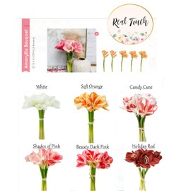 Angel Isabella 12" Real Touch Artificial Amaryllis Bouquet Home Office Hotel Decoration Wedding Centerpiece Bouquet (Candy Cane)