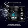 B Life Creatina Monohidratada 310 g en polvo 62 Servicios