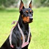 WOOFUU Rhinestone Dog Harness, Orange Leather No Pull Vest with