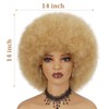 BESSY HAIR 70s Afro Wigs for Black Women, 27 Curly