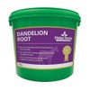 Global Herbs Dandelion Root 1KG