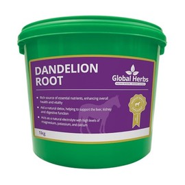 Global Herbs Dandelion Root 1KG