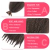 Synthetic Cuban Twist Hair Extensions for Women Braiding Hair8 Pack