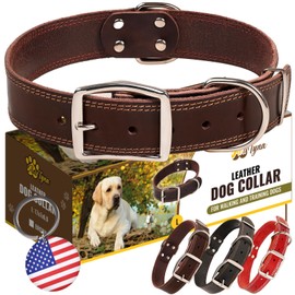 ADITYNA Heavy Duty Leather Dog Collar for Large Dogs - Soft and Strong Leather Collar for Walking, Training, Hunting, and Running (Large: Fit 17" - 23" Neck, Brown)