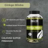 Ginkgo Biloba 550mg | 60 Cápsulas Skin Vit Súper Premium