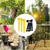 Jetcloud Garden Tree Staking Kit, 3 Tree Stakes + 3