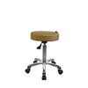 Source One Beauty SPA NUMA Button Esthetician Stool with Metal
